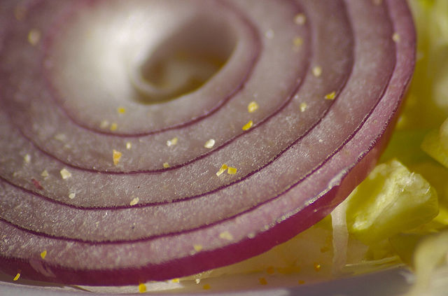 Image:Onion on lettuce by Swatjester.jpg