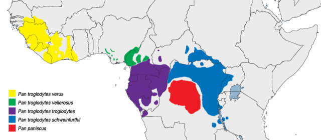 Image:Pan spp range map.png