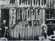 19th century photo of a fur trapper working in the Mount St. Helens area.