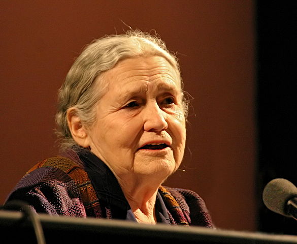 Image:Doris lessing 20060312 (jha).jpg