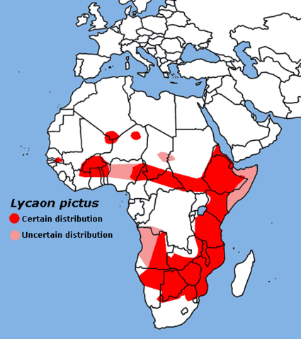 Image:Lycaon pictus map-tob.png