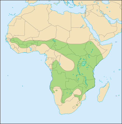 Image:Lion distribution.svg