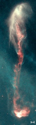 Herbig-Haro object HH47, imaged by the Hubble Space Telescope.  The scale bar represents 1000 Astronomical Units, equivalent to about 20 times the size of our solar system, or 1000 times the distance from the Earth to the Sun