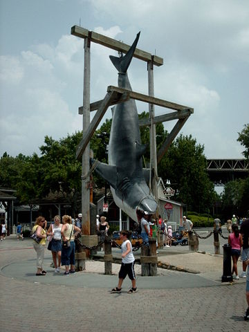 Image:UniversalStudiosJawsShark.jpg