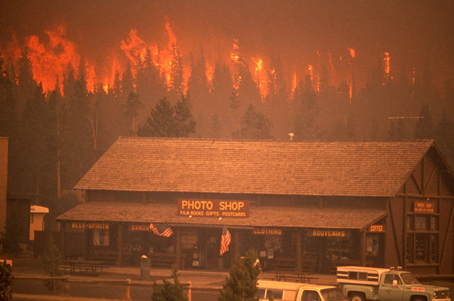 Image:Crown fire Old Faithful.jpg