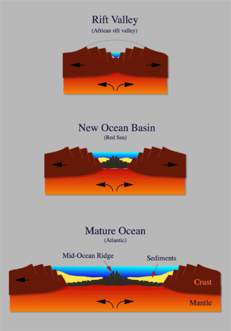 Image:Ocean-birth hg.png