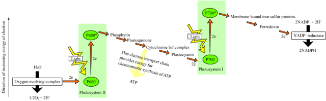 Image:Z-scheme.png