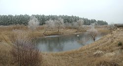 A pond in central Europe