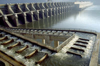 Fish ladder at John Day Dam. This dam, frequently referred to as the "fish killer", and its reservoir form the deadliest stretch of the river for young salmon.