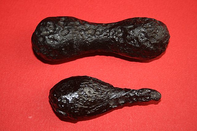 Image:Two tektites.JPG