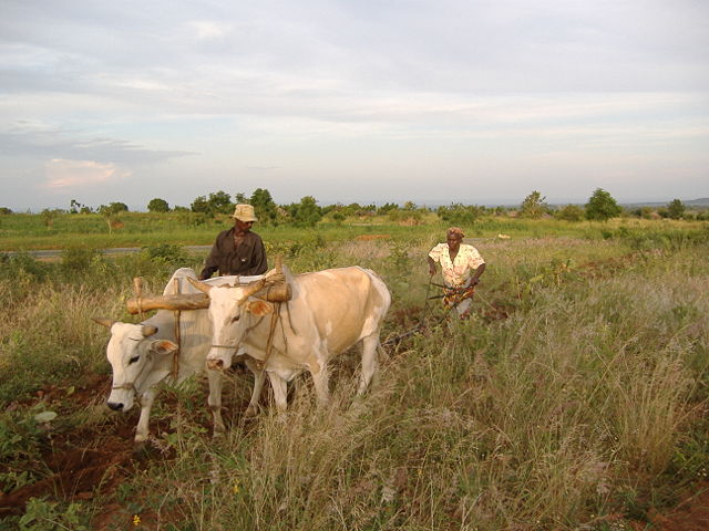 Image:Africa3 031.jpg