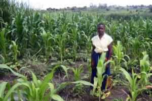 Self sufficiency increases in Zambia due to rising food costs